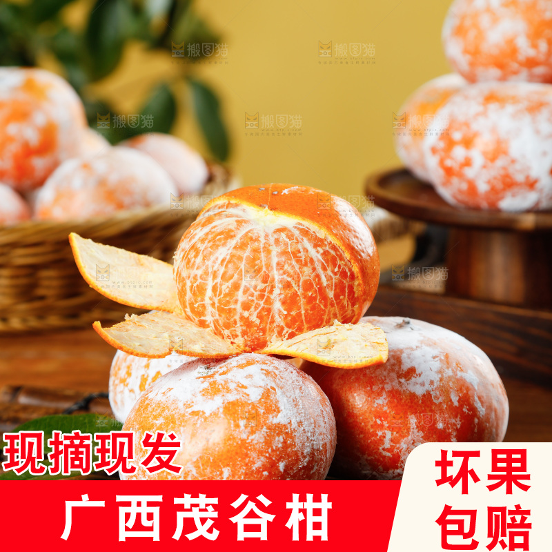 竹底上放着茂谷柑