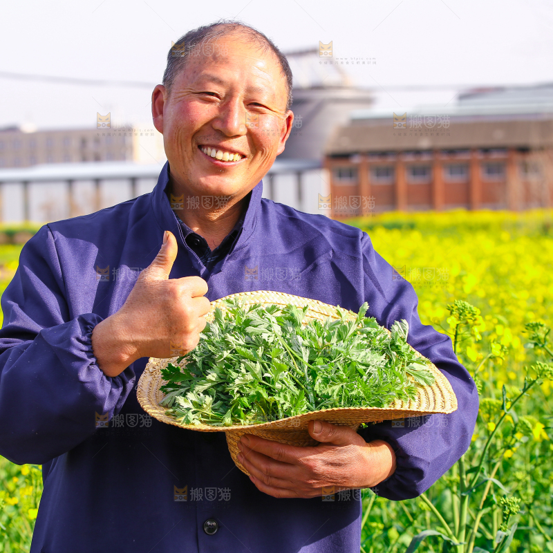草帽里的艾叶