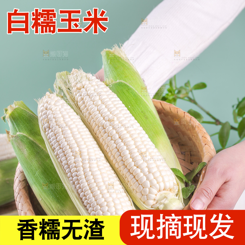 一篮新鲜白糯玉米
