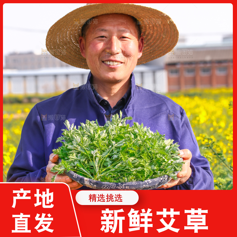 农民手里端着一篮艾草