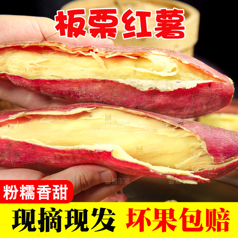 板栗薯