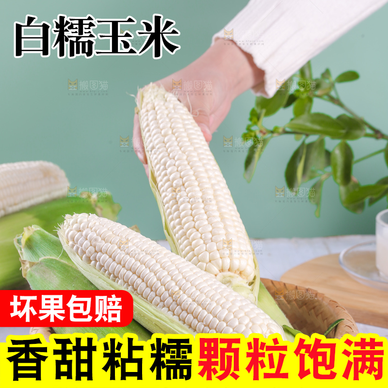 一篮新鲜白糯玉米