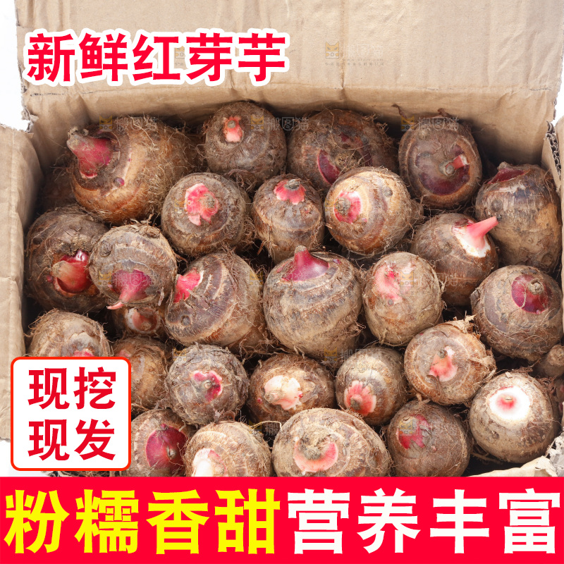 一箱广西红芽芋
