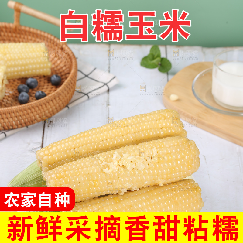 一盘东北白糯玉米