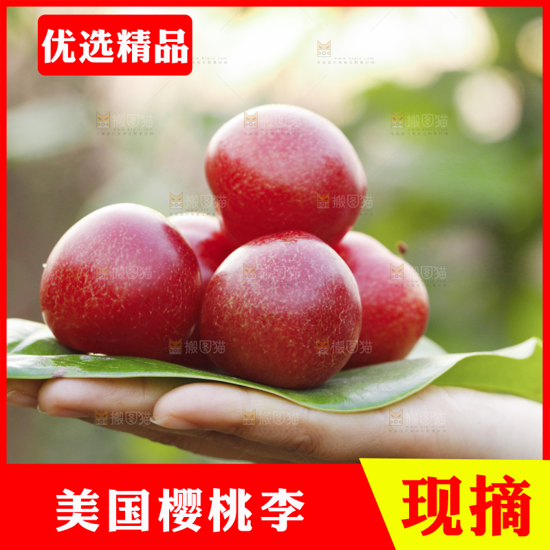 手里捧着进口樱桃李