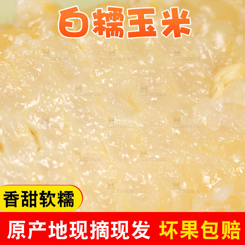 新鲜的甜糯玉米