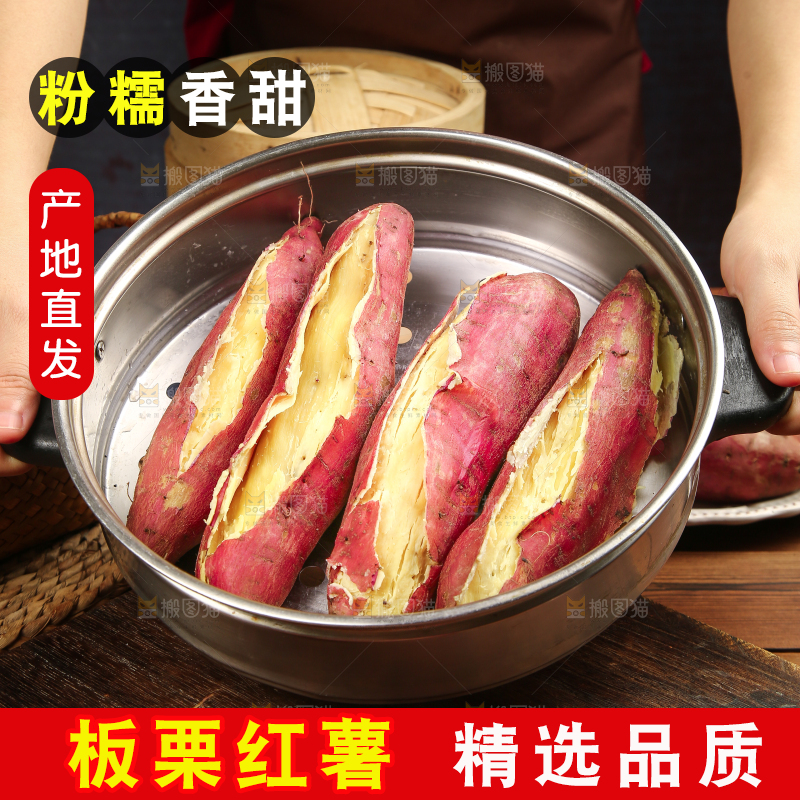 板栗薯