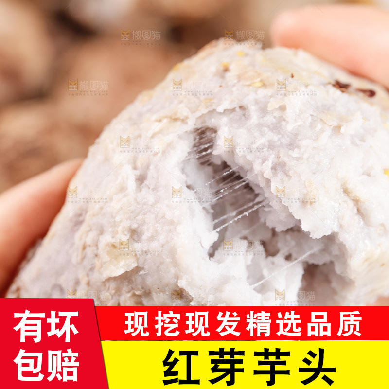 手里拿着蒸熟的小芋头