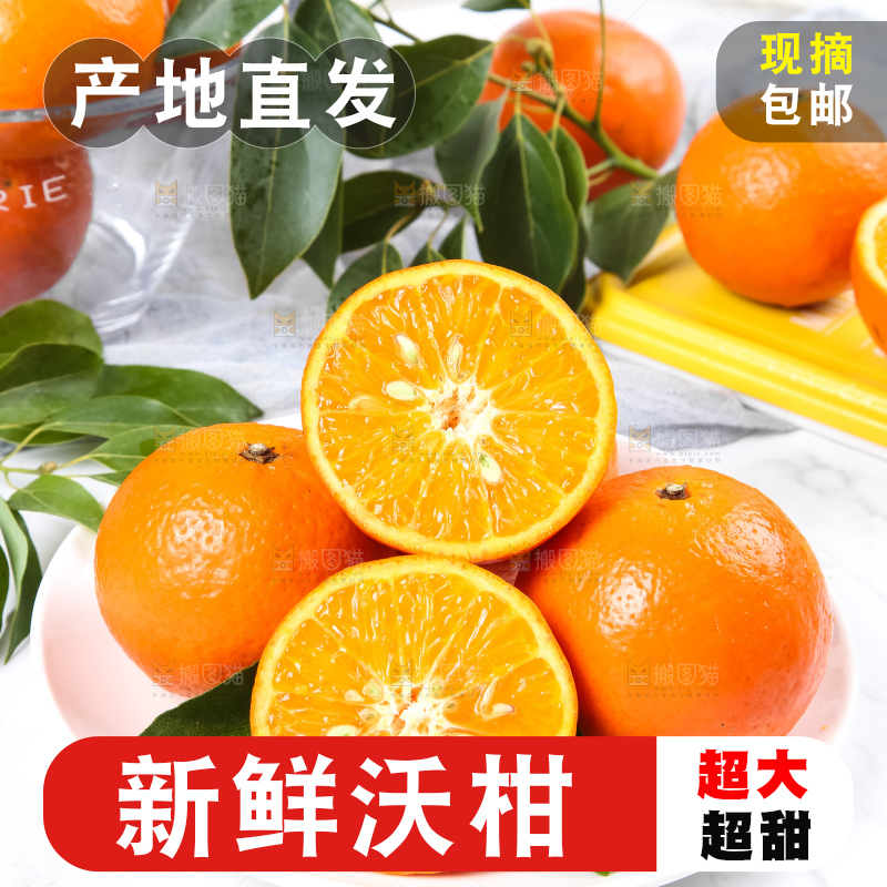 一盘新鲜沃柑