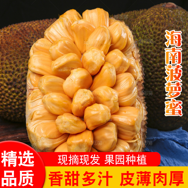 黑底上放着红肉菠萝蜜