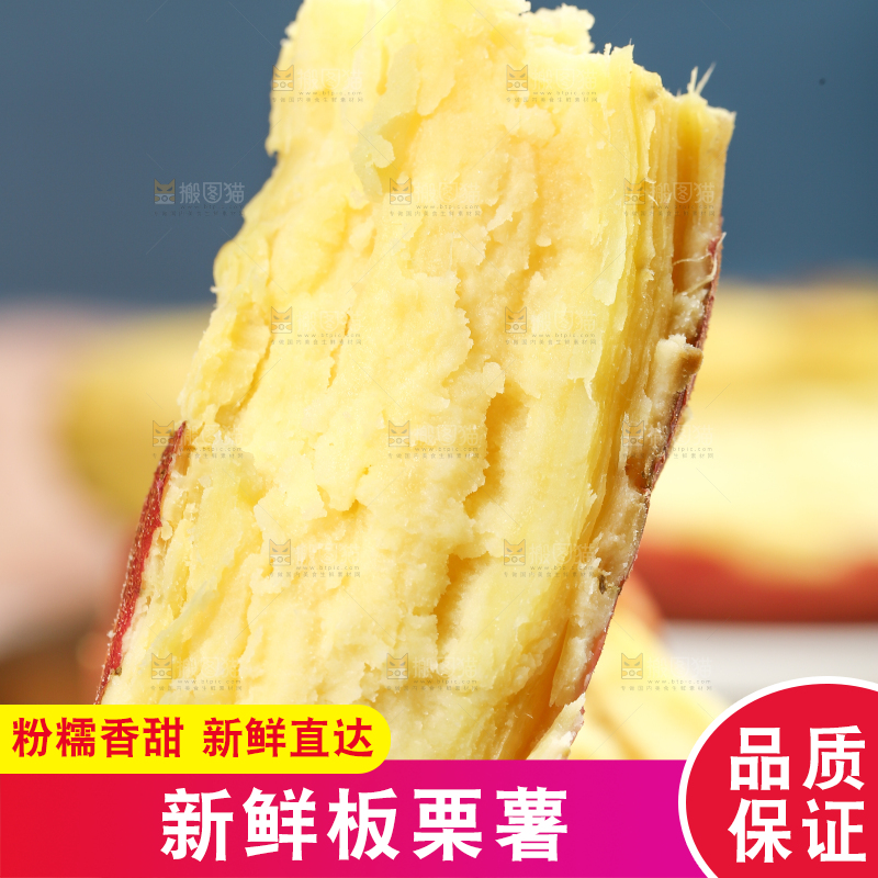 蒸熟的黄心板栗薯