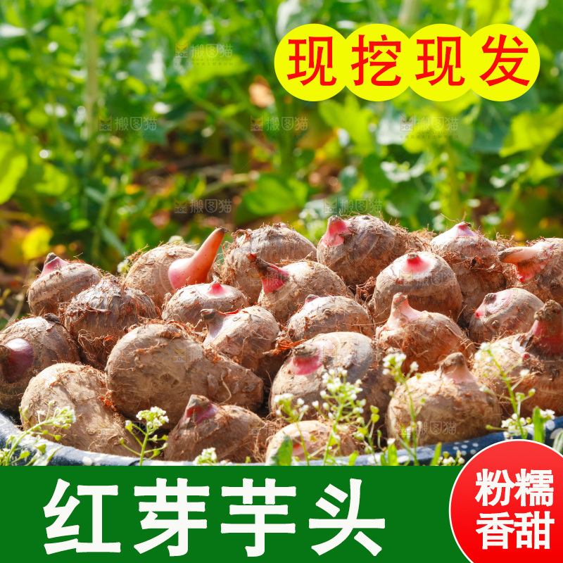 一篮新鲜红芽芋头