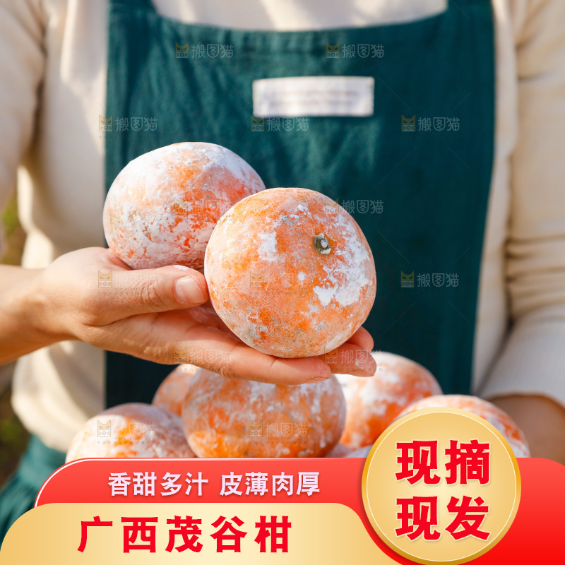 手里端着一篮广西茂谷柑