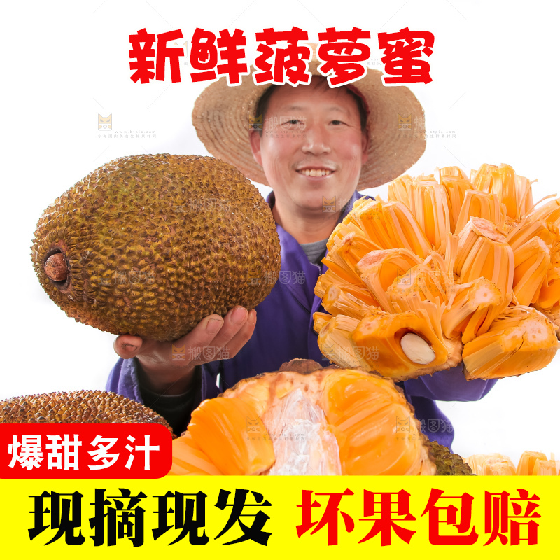 手里拿着进口红肉菠萝蜜