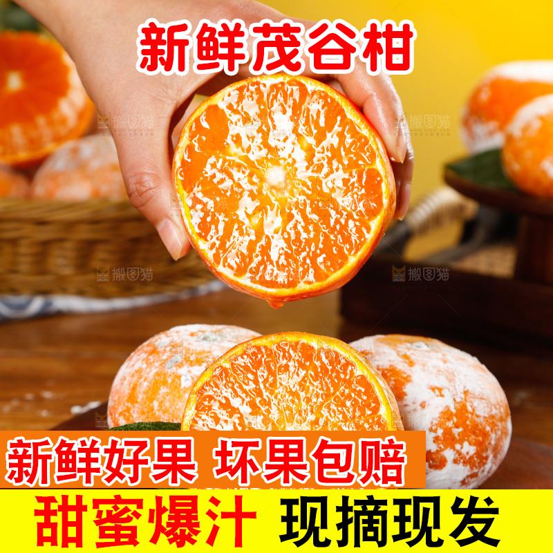 手里拿着茂谷柑
