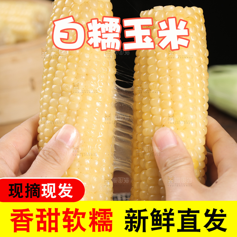 手里拿着甜糯玉米