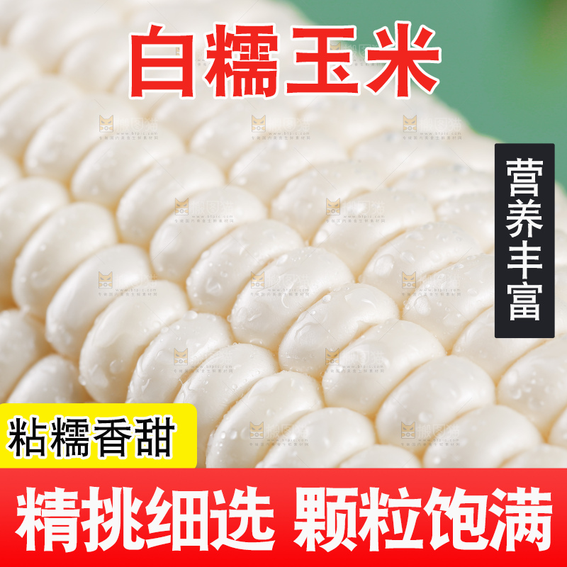 新鲜的白糯玉米棒
