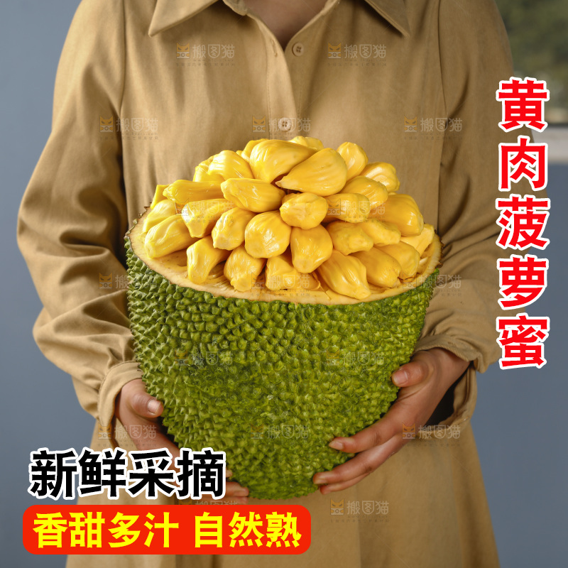 手里抱着海南黄肉菠萝蜜