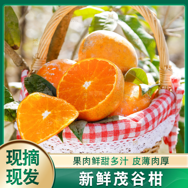 一篮新鲜茂谷柑