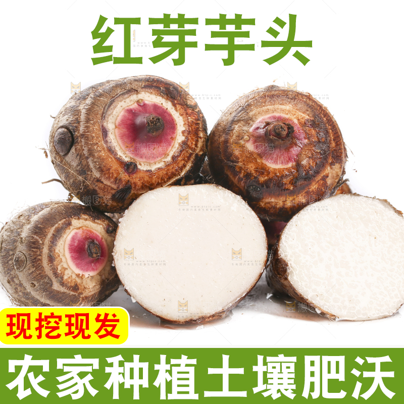 白底上摆放着红芽芋
