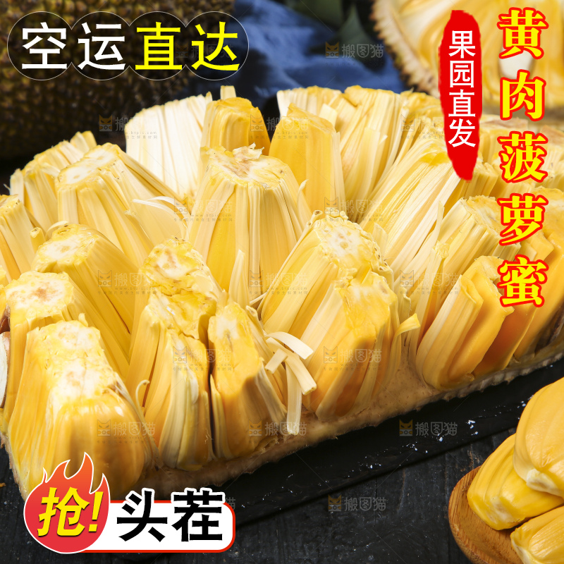 黑底上的黄心菠萝蜜