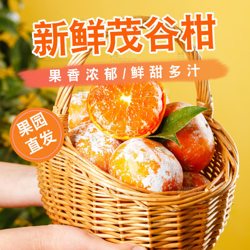 一篮广西茂谷柑