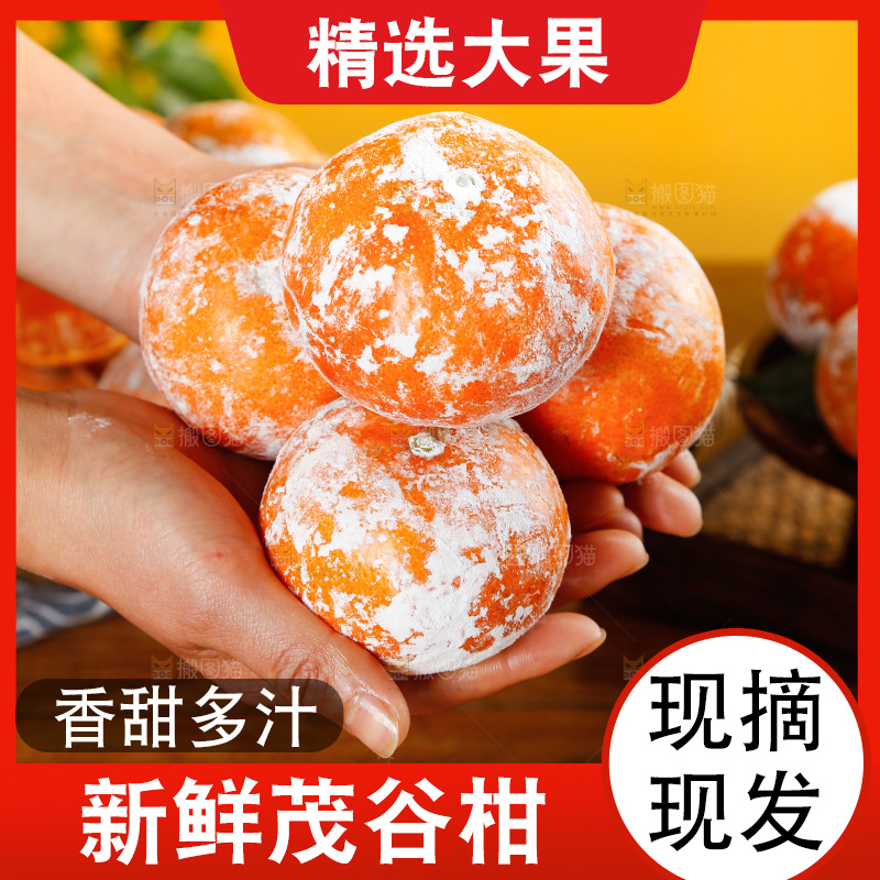 手里捧着脏脏柑