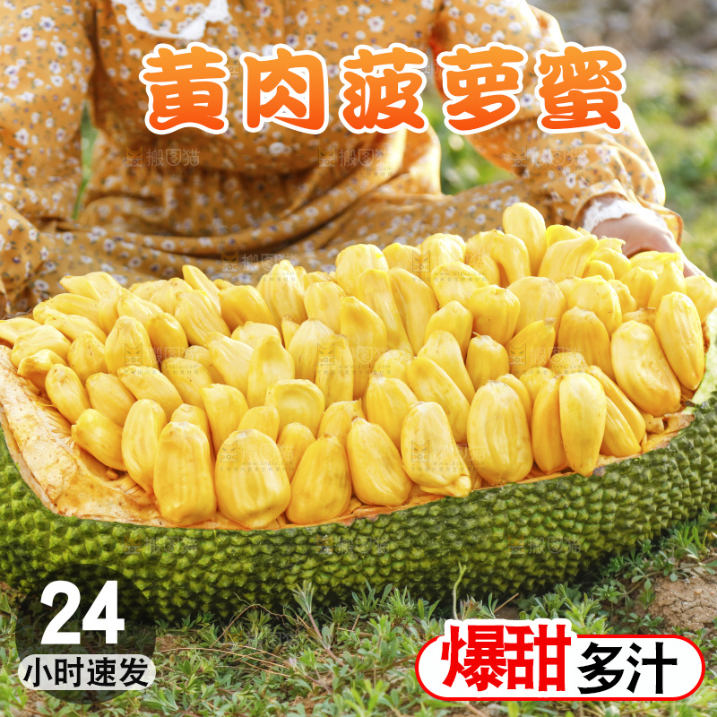 新鲜黄肉菠萝蜜
