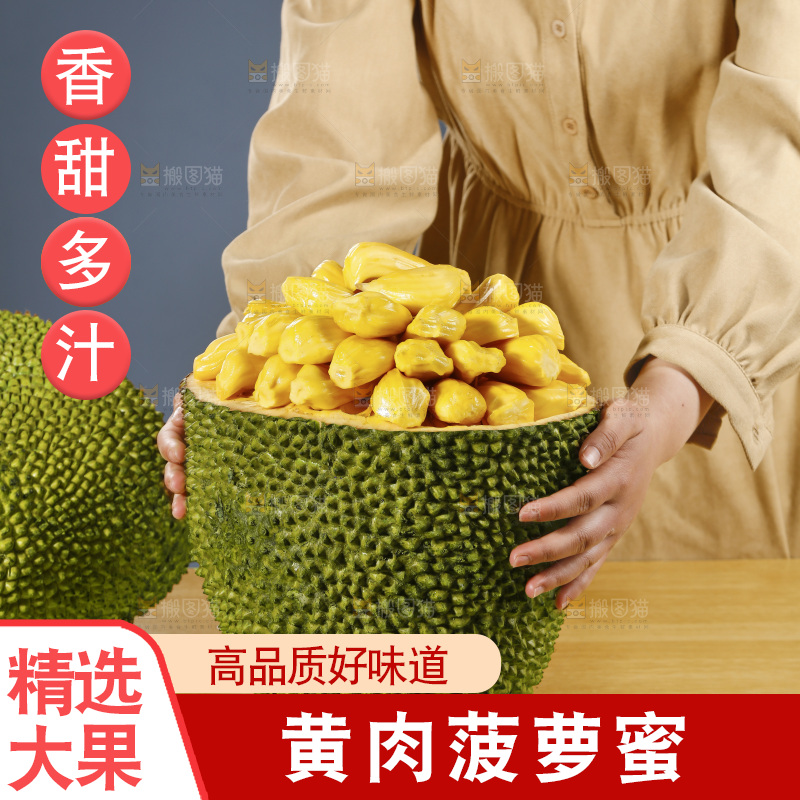 手里抱着海南黄肉菠萝蜜