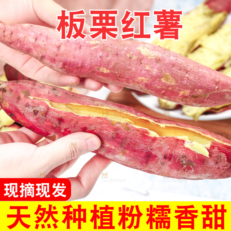 板栗薯