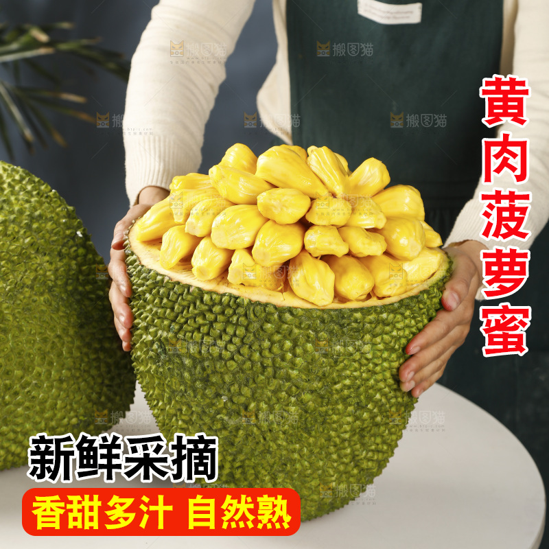 手里抱着海南黄肉菠萝蜜