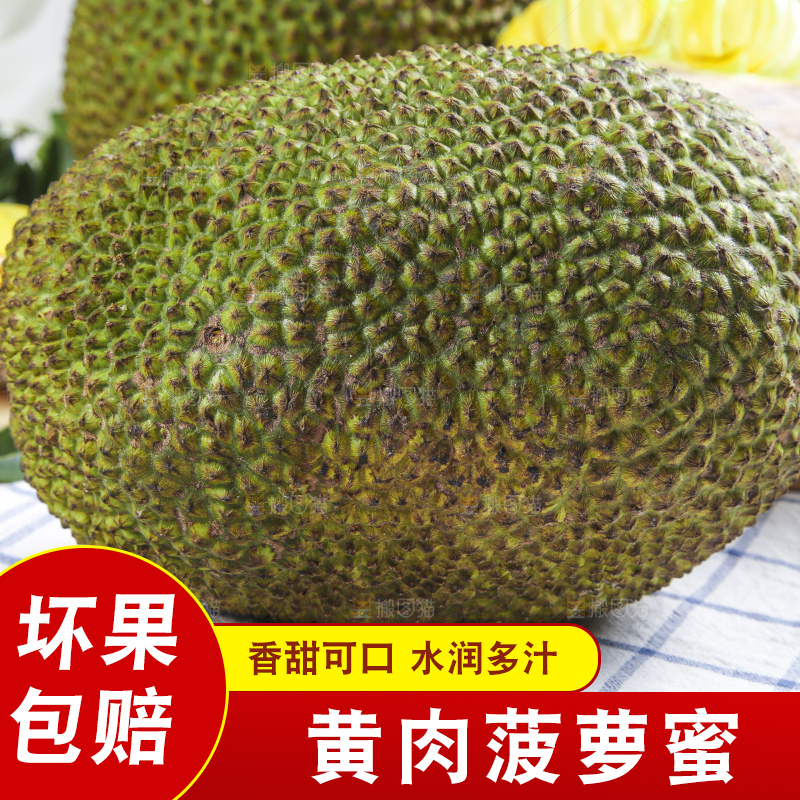 格子底上放着一个完整的菠萝蜜