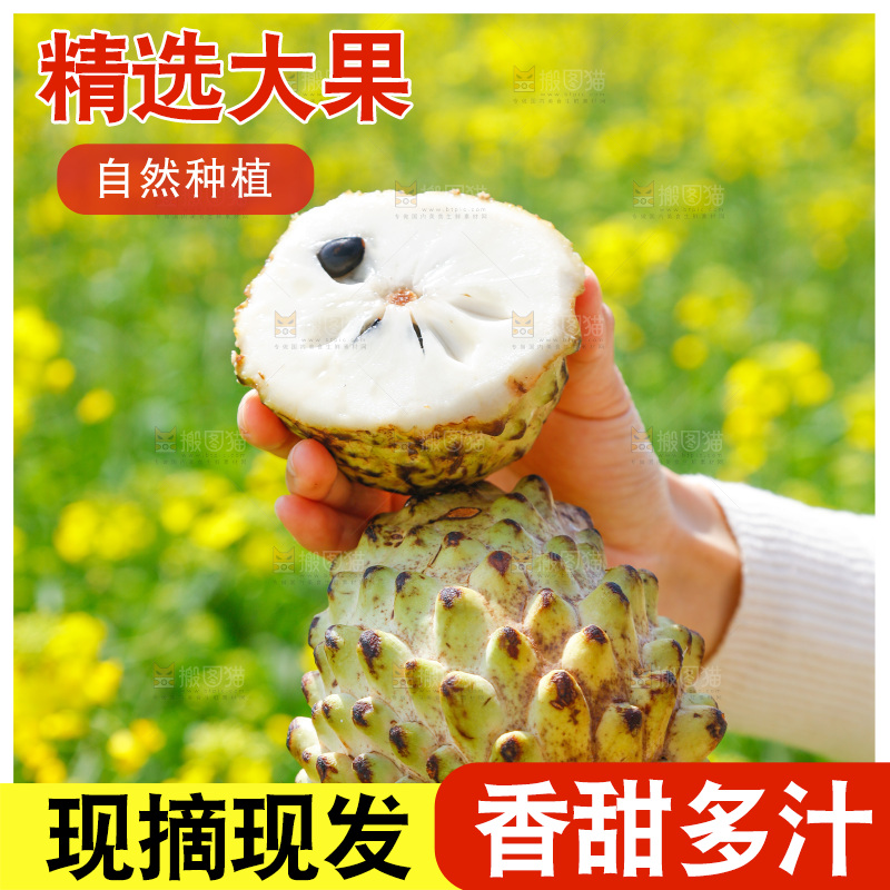 手里拿着释迦果