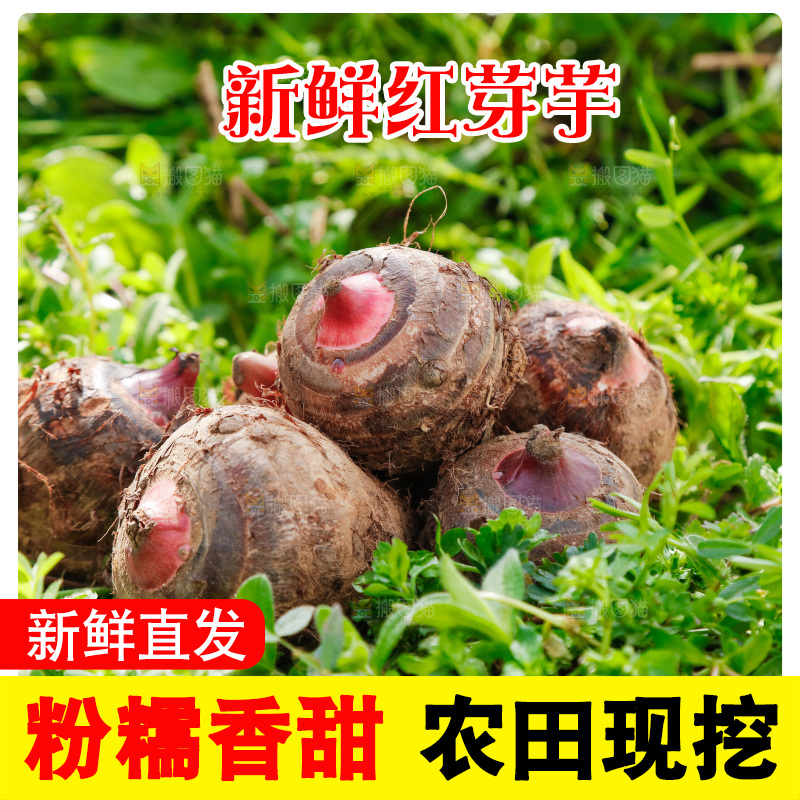 一堆新鲜红芽小芋头