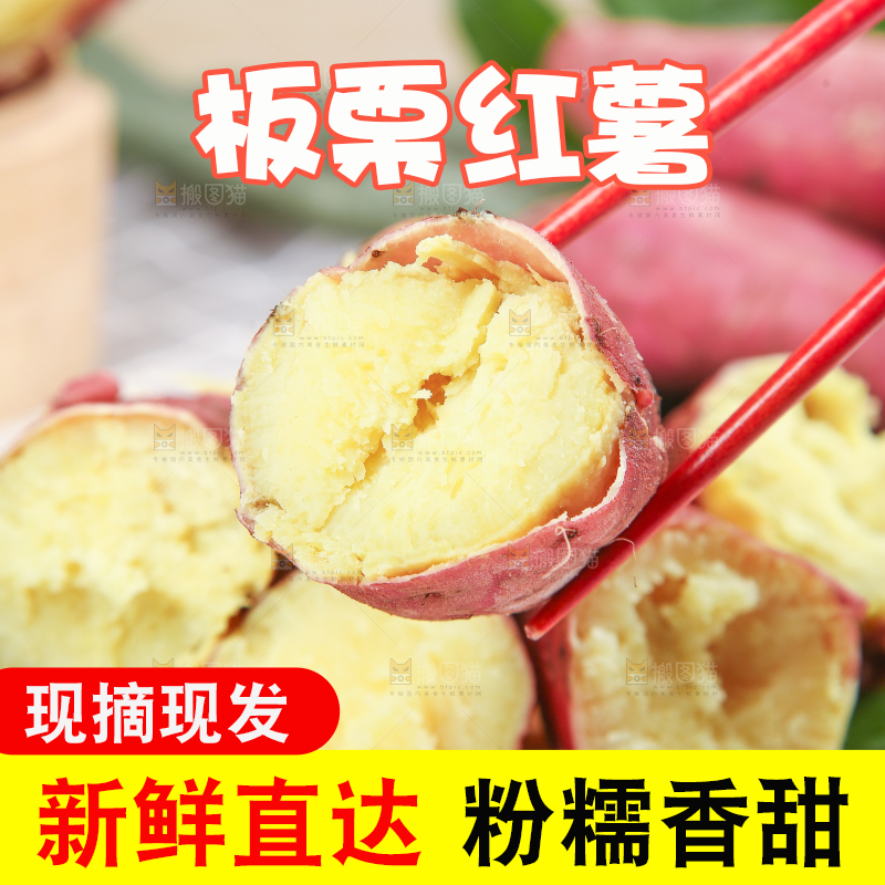板栗薯