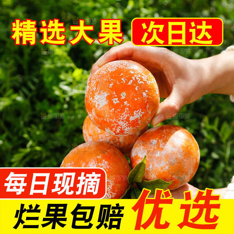 手里捧着脏脏柑
