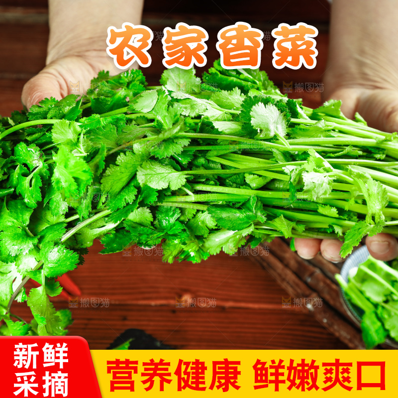 手里拿着小香菜