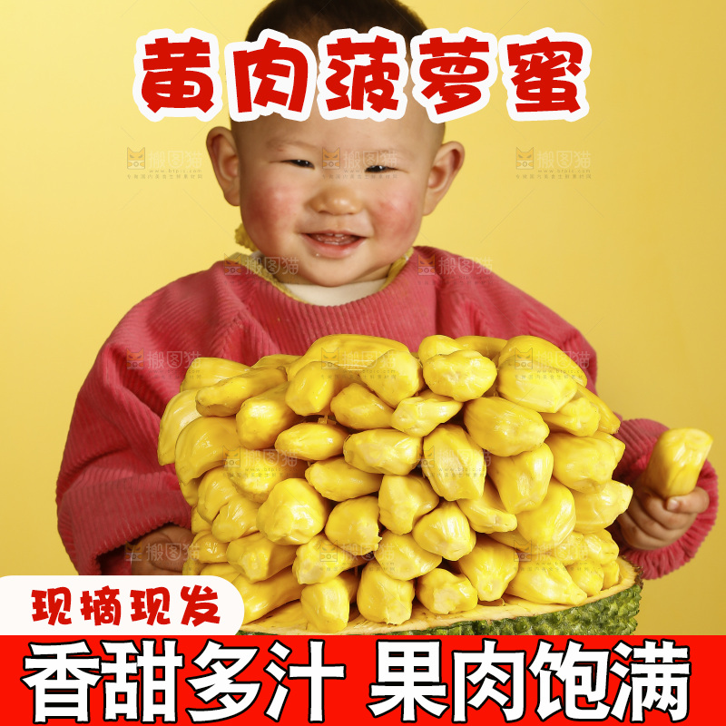 孩子吃着黄肉菠萝蜜