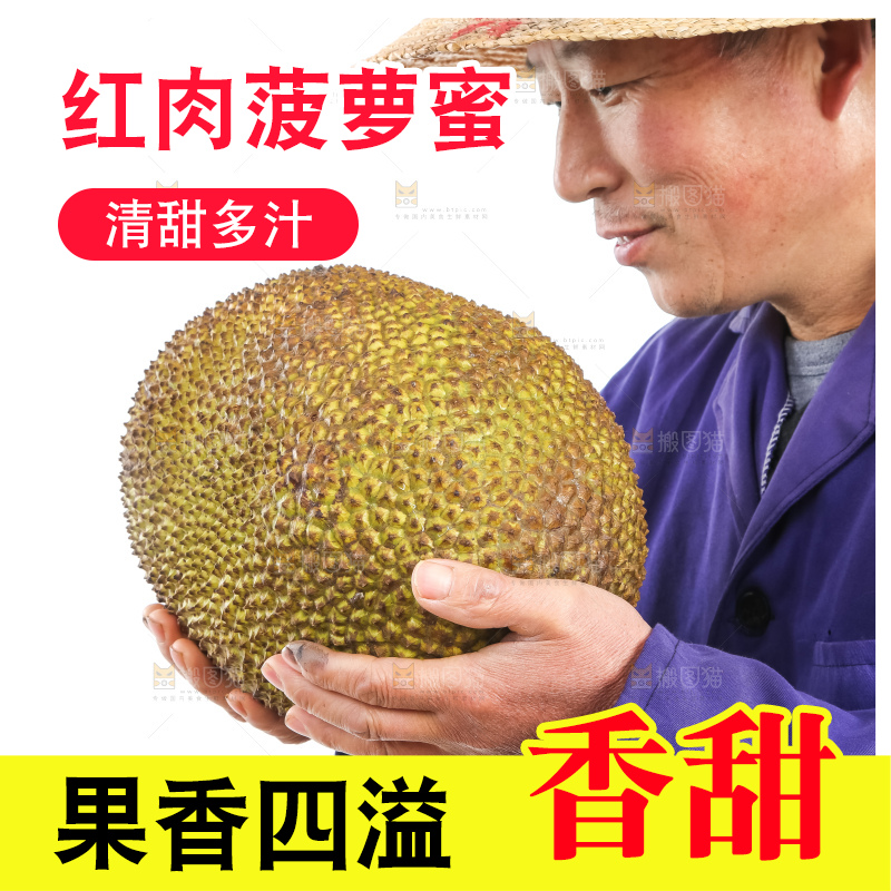 农民手里捧着菠萝蜜