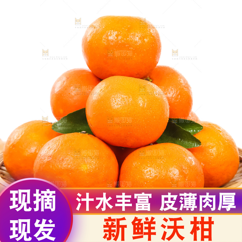 一篮新鲜广西沃柑