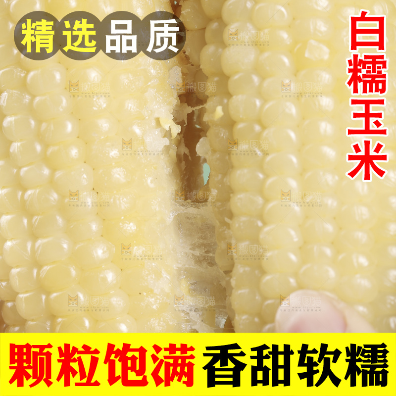 手里拿着白糯玉米棒