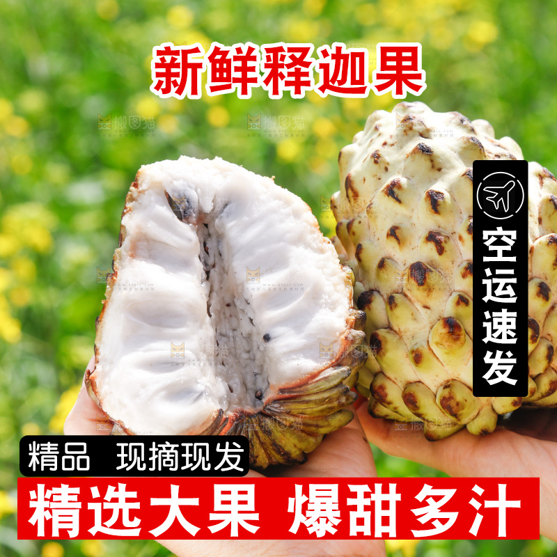 手里拿着释迦果