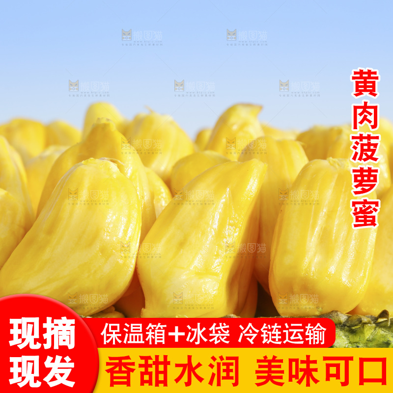 一堆黄肉菠萝蜜