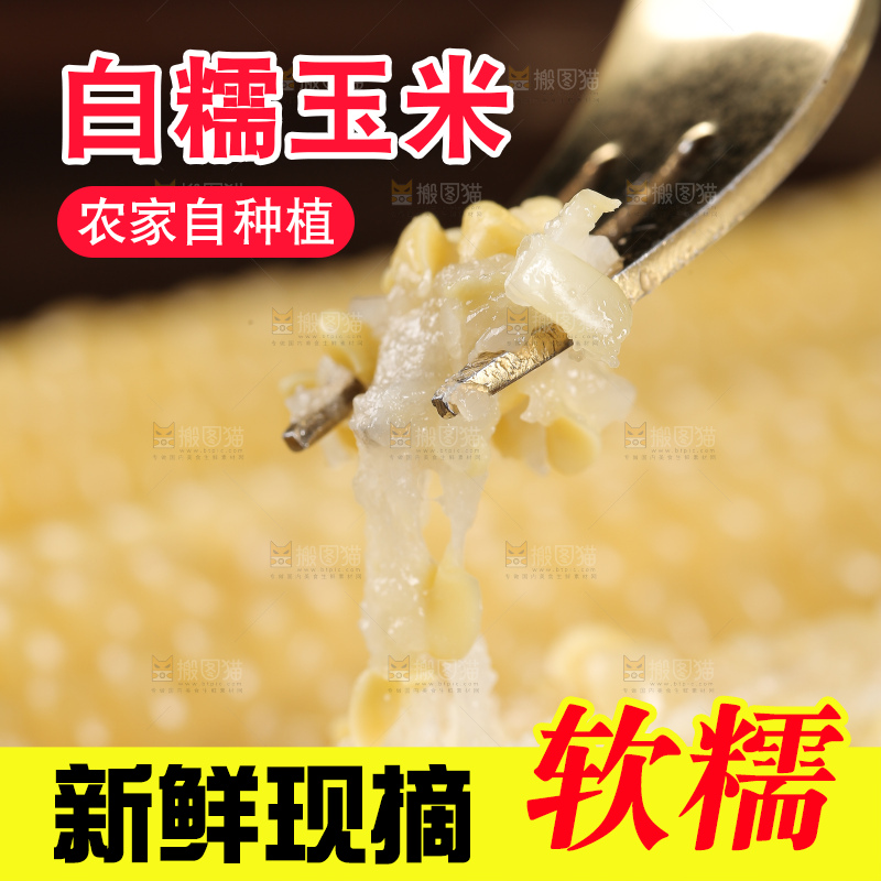 新鲜的甜糯玉米