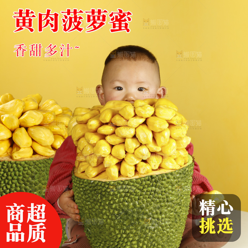 孩子吃着黄肉菠萝蜜