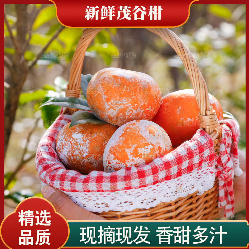 手里提着一篮茂谷柑