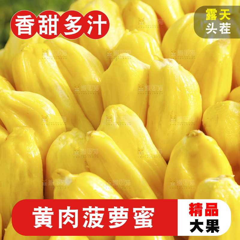 一堆黄肉菠萝蜜