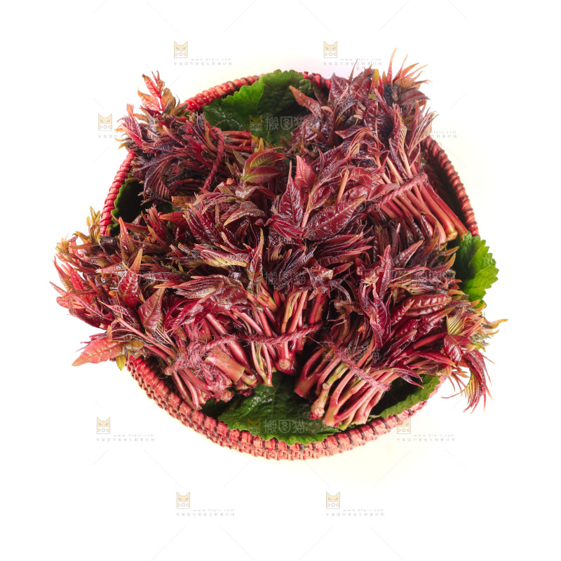 一篮红油香椿芽