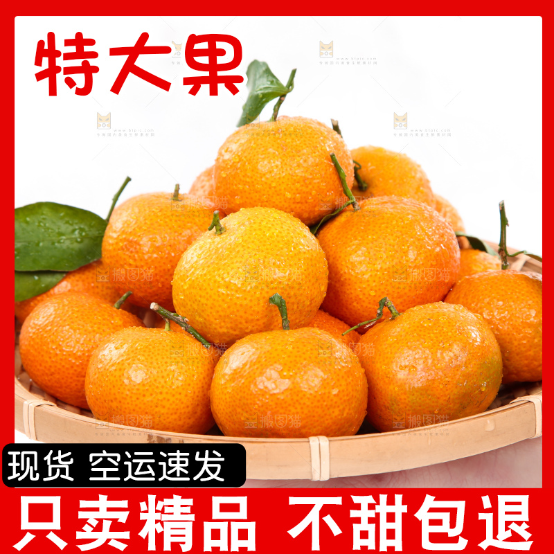 手里端着一篮新鲜砂糖橘
