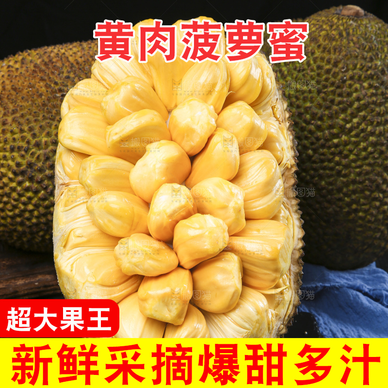 黑底上放着海南黄肉菠萝蜜
